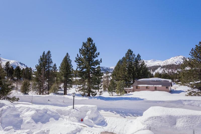 Mammoth Green # 105 Mammoth Lakes Zimmer foto